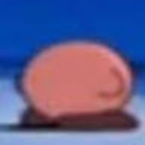 Meet your Posher, Julian